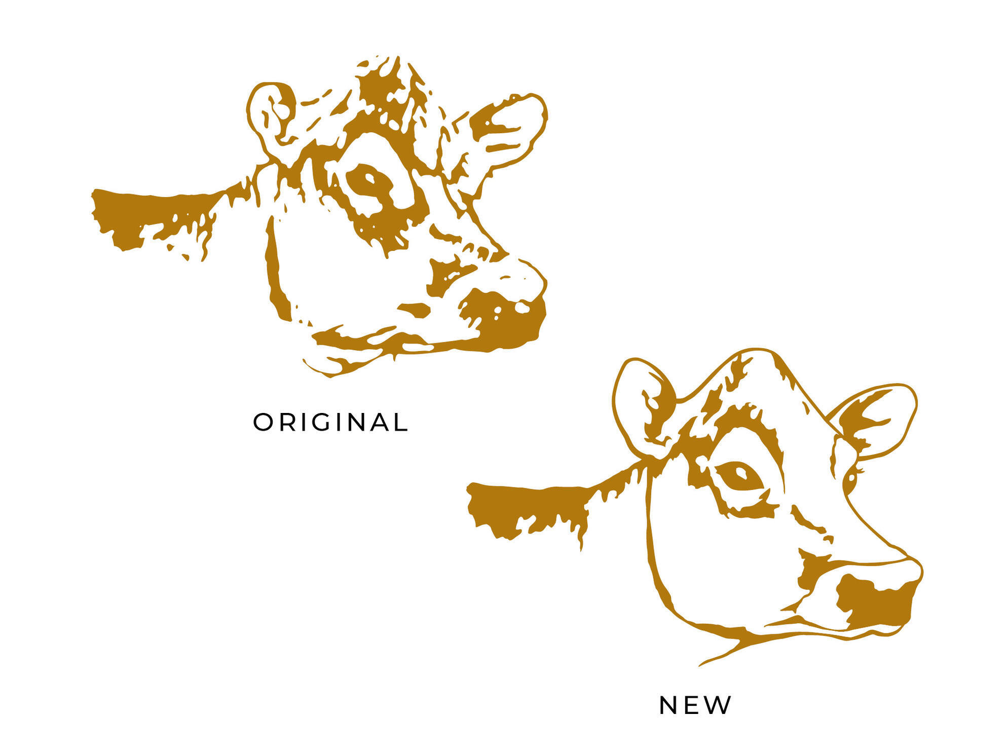 Hilmar Cheese Company | Logo Redesign: Original and New Cow Illustrations